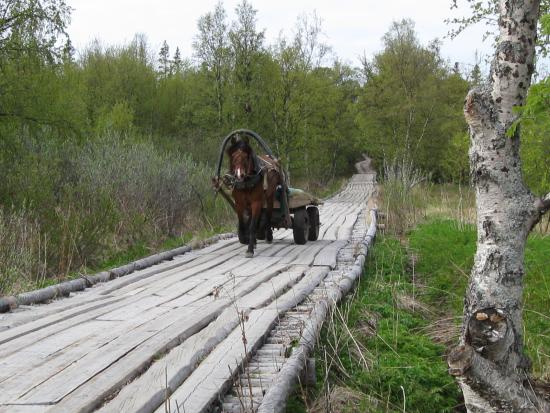 Анзер без скитов